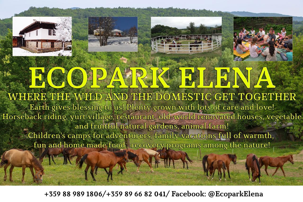 Ecopark Elena Hotell Exteriör bild